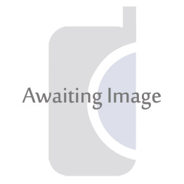 Mains Charger 2 PIN Euro