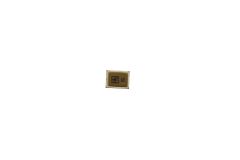 Official Samsung Galaxy S20 Fan Edition, Note 20 Microphone - 3003-001258