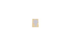 Official Samsung Galaxy S21 5G SM-G991 Vibrator Adhesive - GH81-16497A